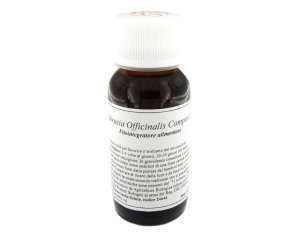 LVS 64N Zingiber Off.Comp.