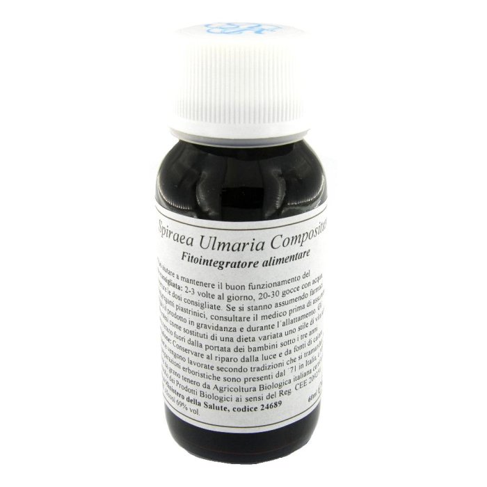 89C SPIRAEA ULMARIA COMP LVS 89C SPIRAEA ULMARIA COMP LVS