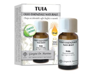 THUJA Olio Ess.10ml SVS
