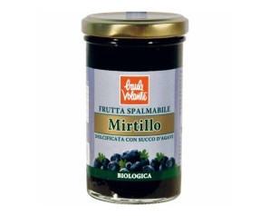 FRUTTA SPALMAB MIRTILLO 280G