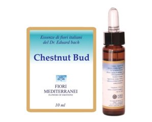 CHESTNUT BUD FIORI MEDITER GTT