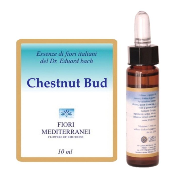 Chestnut Bud Fiori di Bach Mediter Gocce Orali – Rimedio Naturale in Gocce per Equilibrio Emotivo e Crescita Interiore Chestnut Bud Fiori di Bach Mediter Gocce Orali – Rimedio Naturale in Gocce per Equilibrio Emotivo e Crescita Interiore