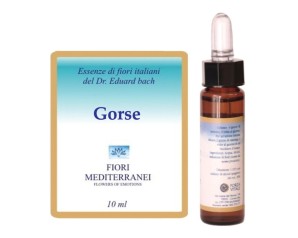 GORSE FIORI MEDITER 10ML