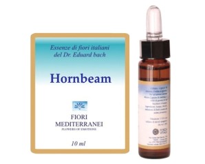 HORNBEAM FIORI MEDITER 10ML