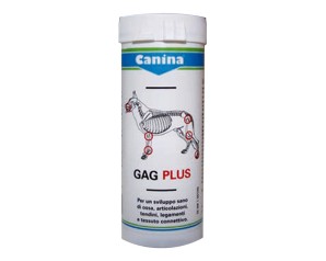 GAGPLUS 200g ca.120 Cpr
