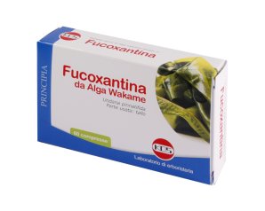 Kos Fucoxantina 60 Compresse