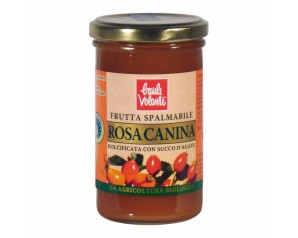 BAULE Frutta Spalm.Rosa Canina