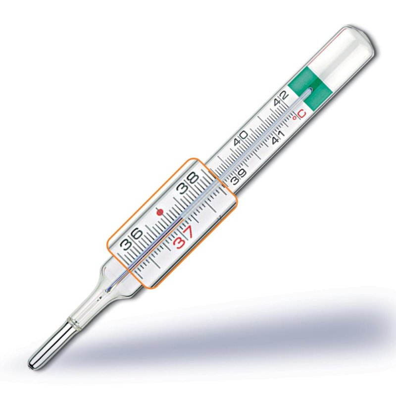 Pic Vedo Ecoplus Termometro Clinico Senza Mercurio