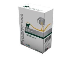 DRN Specialist  Animali Domestici Cani Proage 1200 Alimento 40 Compresse