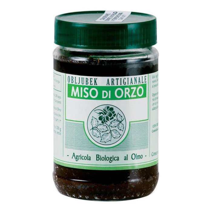 Miso d&rsquo;orzo non pastorizzato - condimento fermentato biologico per zuppe e brodi