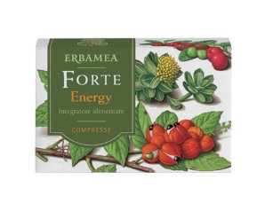 FORTE ENERGY 24CPR