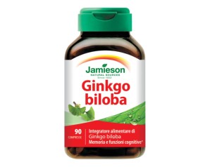 GINKGO BILOBA 120 TM 90CPR