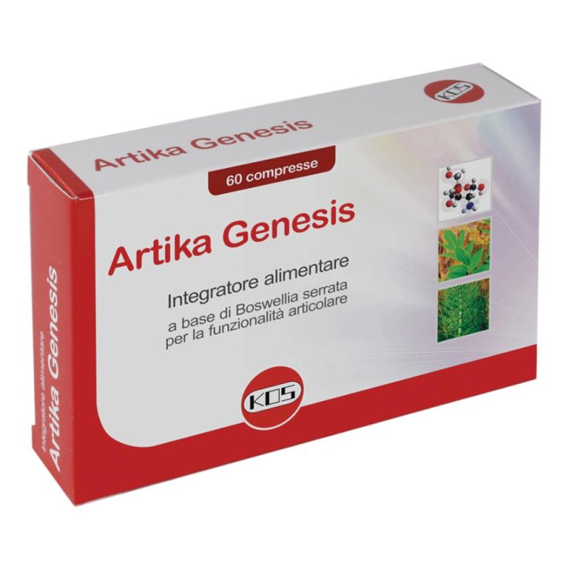 ARTIKA 60 Cpr 31g KOS ARTIKA 60 Cpr 31g KOS