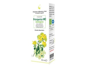 PRIMIPERICO MACERATO CAIRA GTT