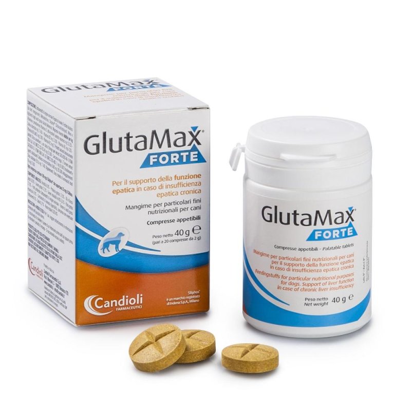 Candioli Animali Domestici GlutaMax Forte Cani Mangime 20 Compresse Candioli Animali Domestici GlutaMax Forte Cani Mangime 20 Compresse