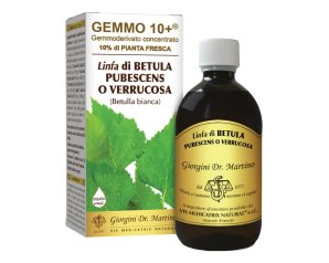 BETULLA B LINFA AN GEMM10+ 500