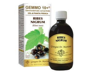 Dr.giorgini Ser-vis Ribes Nero 500 Ml Liquido Analcoolico Gemmo 10+