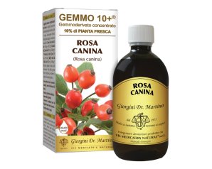  Gemmo 10+ rosa canina liquido analcolico 500 ml