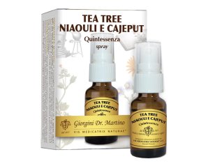 TEA TREE NIAOU/CAJEP QUINT SPR