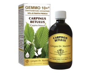 Carpino Gemmo 10+ Analcolico 500Ml Giorgini