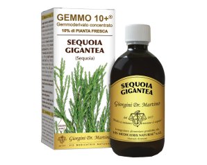 SEQUOIA 500ML ANALCO GEMMO 10+