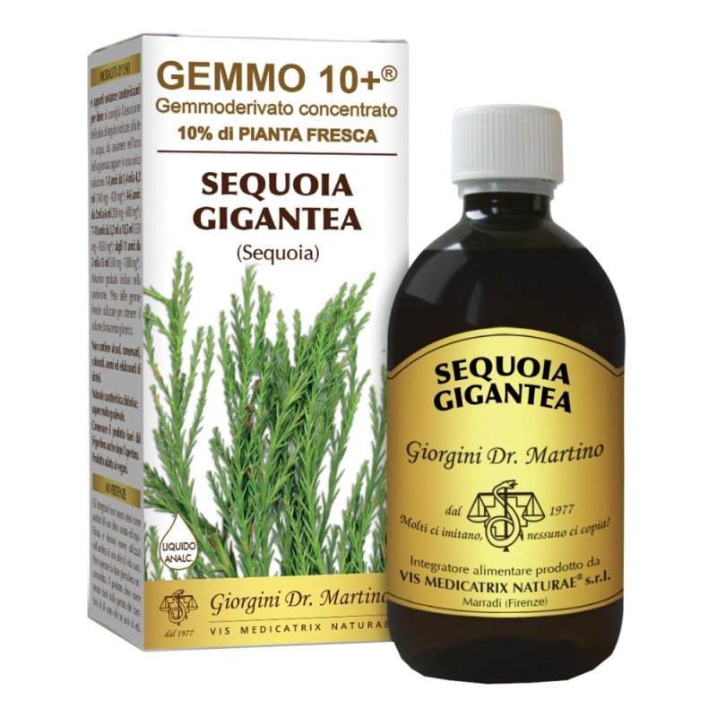 Sequoia Gemmo 10+ Macerato Glicerico Analcolico 500 ml Integratore Naturale Sequoia Gemmo 10+ Macerato Glicerico Analcolico 500 ml Integratore Naturale