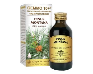 PINO MONT 100ML ANALCO GEM 10+