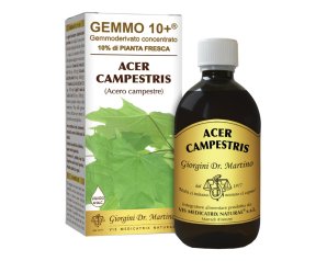 ACERO CAMP 500ML ANALCO GEM10+
