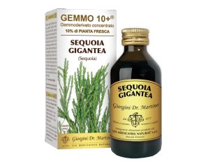 G10 + Sequoia Gigantea Dr. Giorgini 100ml