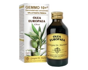 OLIVO 100ML ANALCO GEMMO 10+