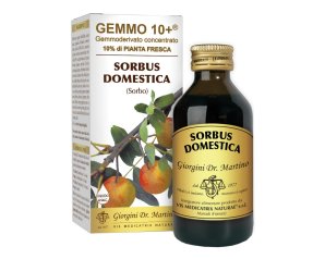 SORBO 100ML ANALCO GEMMO 10+