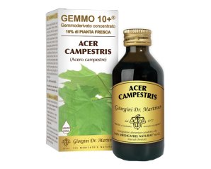 ACERO CAMP 100ML ANALCO GEM10+