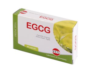 EGCG THE VERDE 30CPS NF