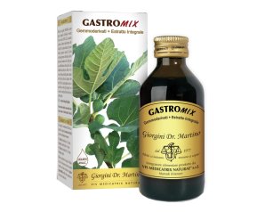 GASTROMIX Liq.Analc.100ml