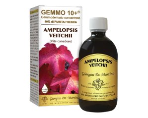 VITE CANADESE 500ML LIQ AN GEM