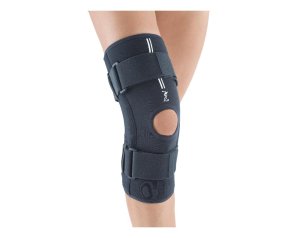 GINOCCHIERA PHYLO 60 C/STEC XL