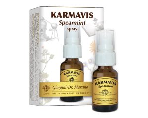 Karmavis Spearmint Spray 15 Ml