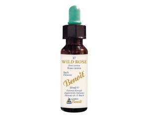 Benoit Fiori di Bach Wild Rose - essenza floreale Wild Rose per apatia e rassegnazione