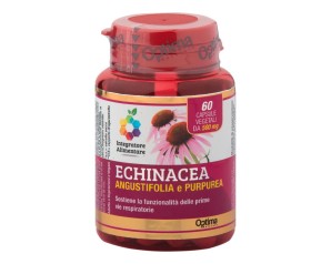 ECHINACEA 60CPS COLOURS