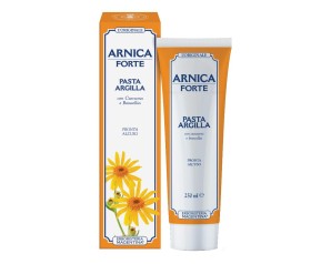 ARNICA FORTE PASTA ARGILL250ML