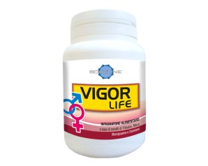 VIGOR LIFE 40CPS
