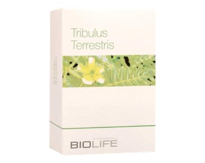 TRIBULUS TERRESTRIS 60 Cps