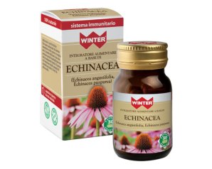 WINTER ECHINACEA 30CPS VEG