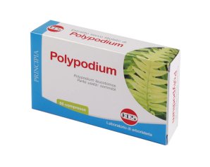 Kos Polypodium Estratto Secco 60 Compresse Vegetali