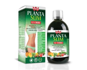 WINTER PLANTA SLIM 12ERBE500ML