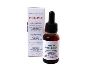 MTS14 PHELLINUS Gtt 20ml
