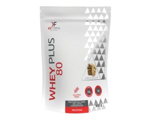 WHEY PLUS 80 CHOCO BISCUIT900G