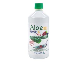 ALOE Mirtillo&Vite 1Lt PHR