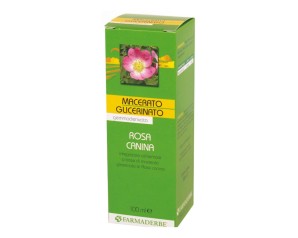 ROSA CANINA MG 100ML