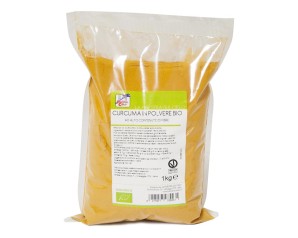 CURCUMA BIO 1KG